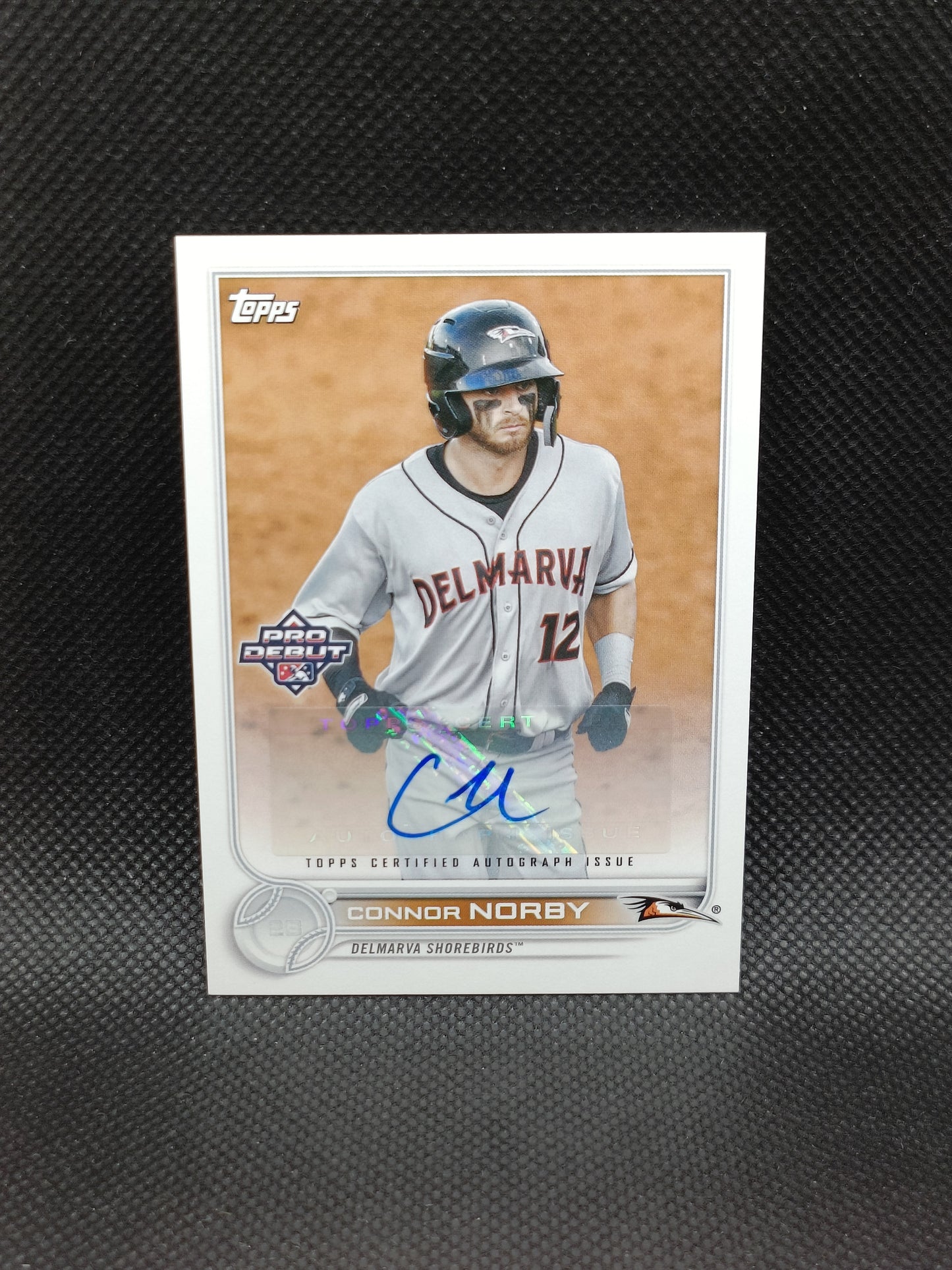 Connor Norby - 2022 Topps Pro Debut Auto - Miami Marlins
